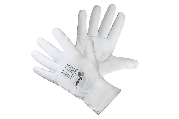 GW300 - Nappa - 3M Thinsulate™ C40 - EN420/EN388