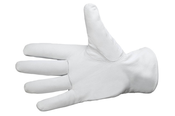 GW300 - Nappa - 3M Thinsulate™ C40 - EN420/EN388